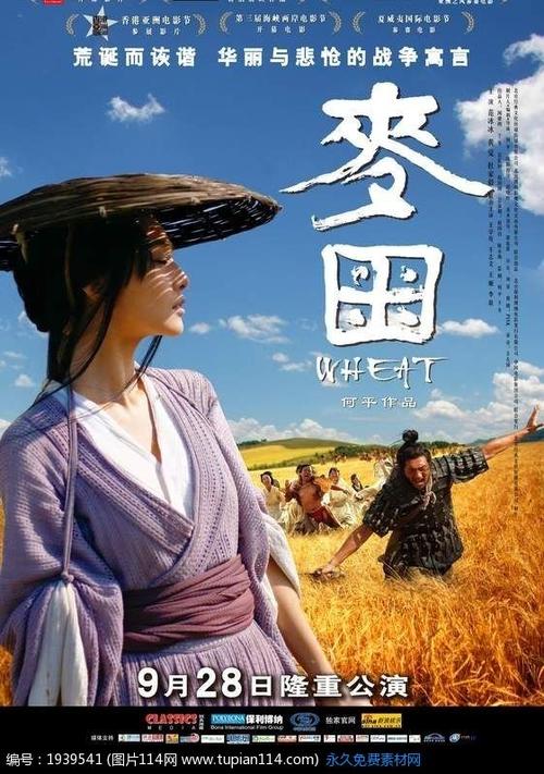 玛卡莱斯特学院Diploma
